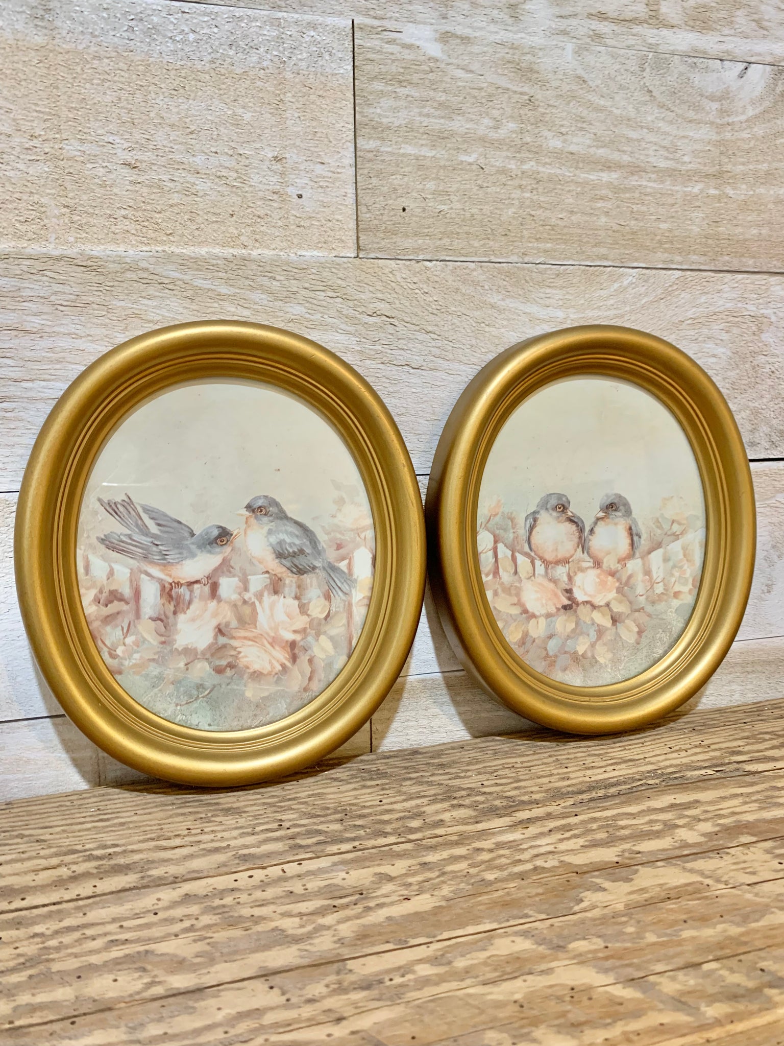 2 Vintage oval bird pictures