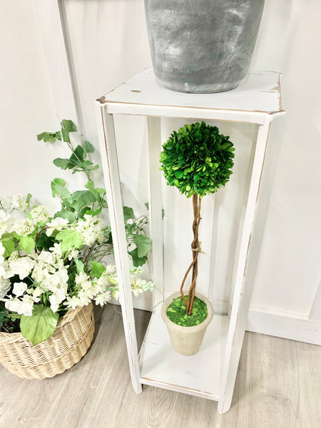 Gazebo White Plant Stand