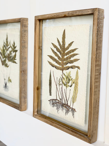 Wood Framed Botanicals
